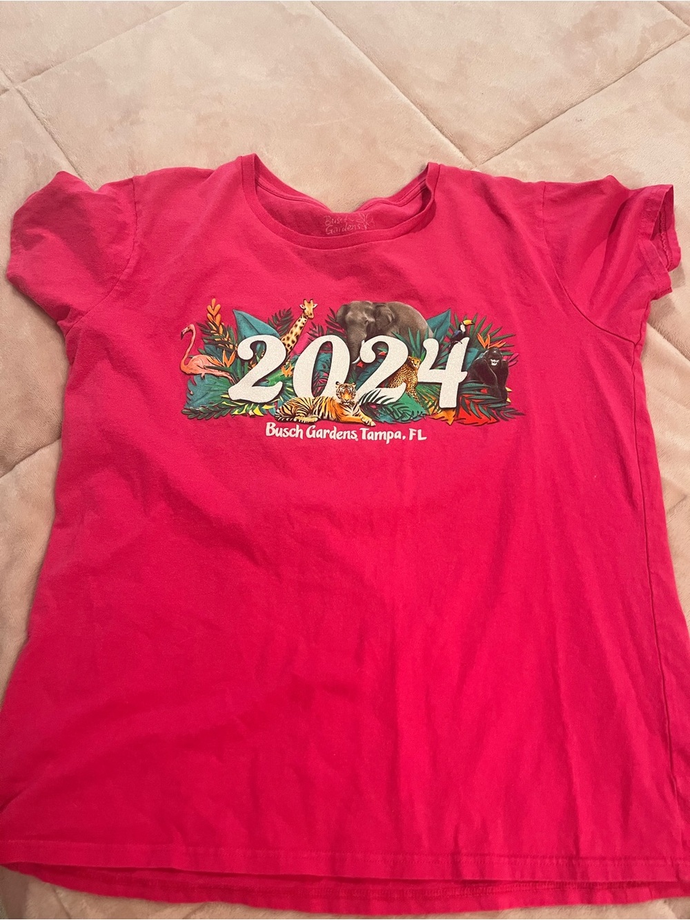 Busch Gardens 2024 Women’s Pink Graphic Tee